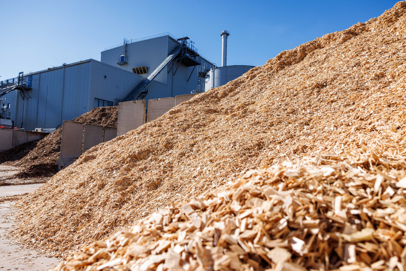 Seras - Skip Hire Biomass